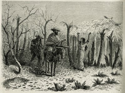 The Clouds of Grasshoppers of the Vallee du Upper Patia, com na mula o narrador da viagem, gravado por Riou, para ilustrar a história L