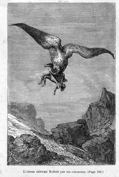 “Os filhos do capitão Grant: o pássaro sequestrou Robert pelas roupas” de Jules Verne, edição Hetzel - Voyages Extraordinary 1868 de Edouard Riou