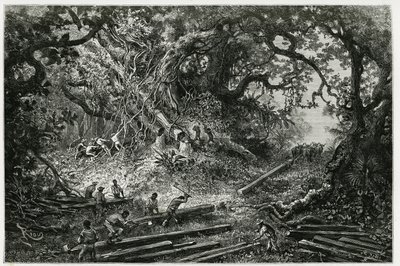 A exploração do mogno nas florestas da Cordilheira dos Andes. Gravura de Riou, para ilustrar a história "Viagem a Yucatan e à Terra de Lacandons", em 1882, de Desire Charnay (1828-1915) arqueólogo e fotógrafo. Publicado no Tour du monde nou de Edouard Riou