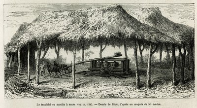 O trapiche, ou moinho de açúcar para moer as canas em Panche (Colômbia), desenho de Riou, para ilustrar a história da América Equinoxiale (Colômbia, Equador, Peru), em 1875-1876, de Ed. andre, encarregado de missão de viajantes pelo governo francês. Gravur de Edouard Riou