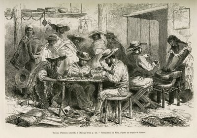 As obras de história natural, em Chipaque (Colômbia), a preparação da dessecação de plantas para herbário, sob o olhar curioso dos índios, desenho de E.Riou, para ilustrar a viagem à América equinófila (Colômbia, Equador, Peru), em 1875-1 de Edouard Riou