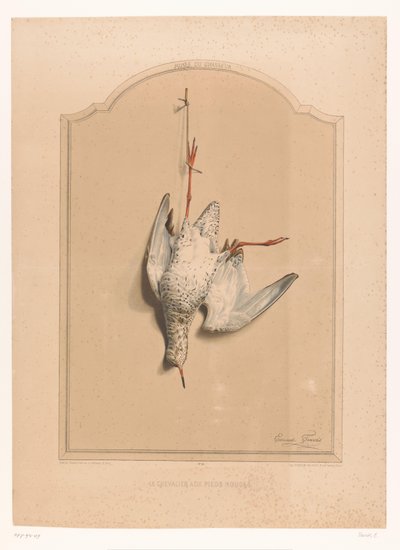 Tanque vermelho morto pendurado numa perna
Le chevalier aux pieds rouge (título sobre o objecto)
Museu do caçador (título da série)
Musée du chasseur (título da série sobre o objecto) de Edouard Travies