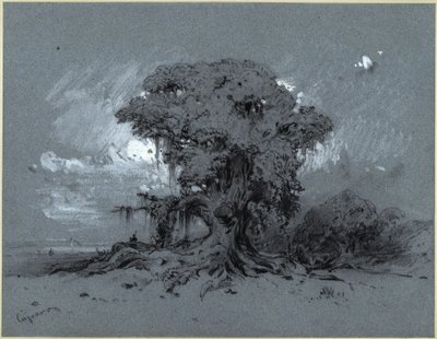 Árvore velha de Eduard Hildebrandt
