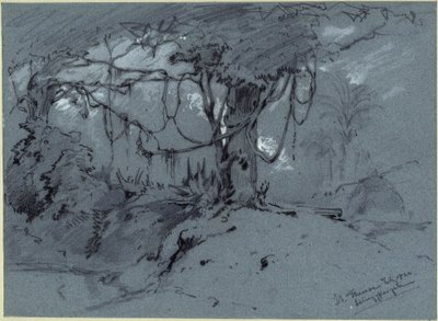 Árvore com plantas trepadeiras de Eduard Hildebrandt