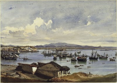 Panorama do Rio de Janeiro de Eduard Hildebrandt