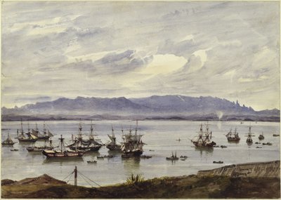 Panorama do Rio de Janeiro de Eduard Hildebrandt