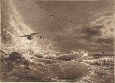 Mar tempestuoso de Eduard Hildebrandt