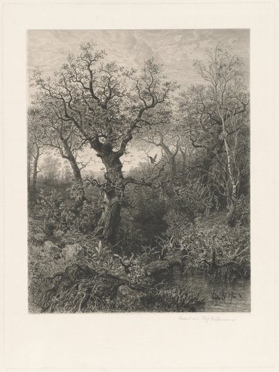 Outono de Eduard Willmann, after Eduard Marak