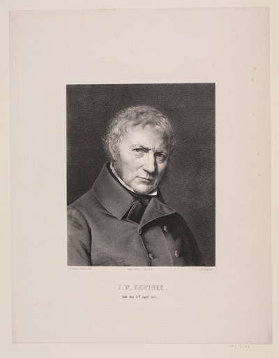 Dinamarquês: Blokdrejer J. W. Gertner de Edvard Fortling