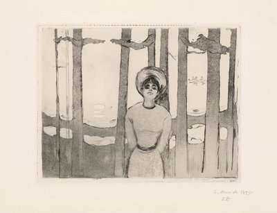 Noite de verão. A voz de Edvard Munch