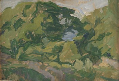 Paisagem, Christianø de Edvard Weie