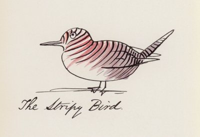Edward Lear, The Bird Book: The Stripy Bird (cor litho) de Edward (after) Lear