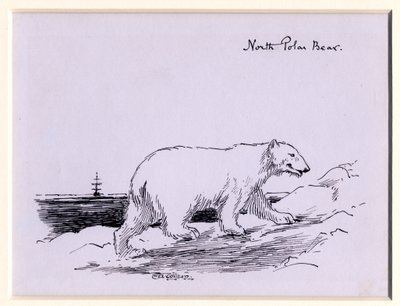 Urso Polar, c.1905 (tinta no papel) de Edward Adrian Wilson