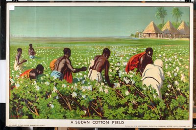 Um campo de algodão do Sudão, da série "Empire Trade is Growing" (litografia a cores) de Edward Barnard Lintott