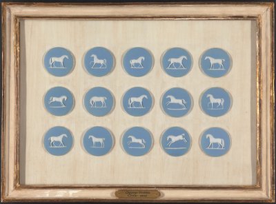 Estudos de Cavalos em Relevo, depois de George Stubbs de Edward Burch