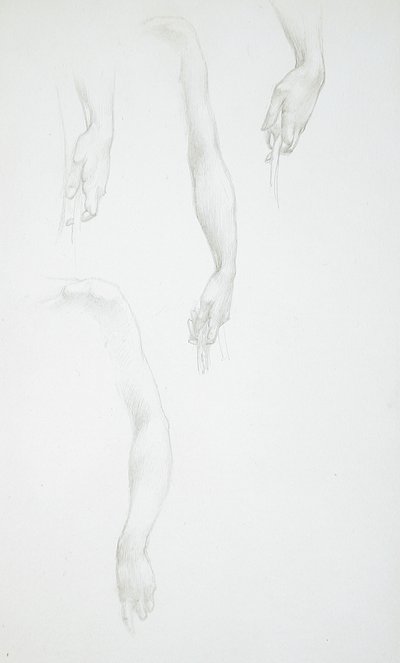 Estudos de braços e mãos (anverso); Estudo de um torso feminino (verso) de Edward Burne-Jones