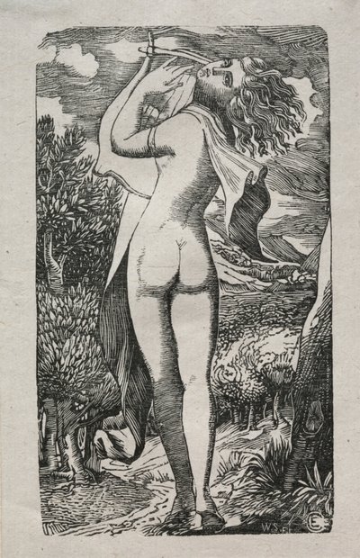 Bacante ou o jogador na lira de Edward Calvert
