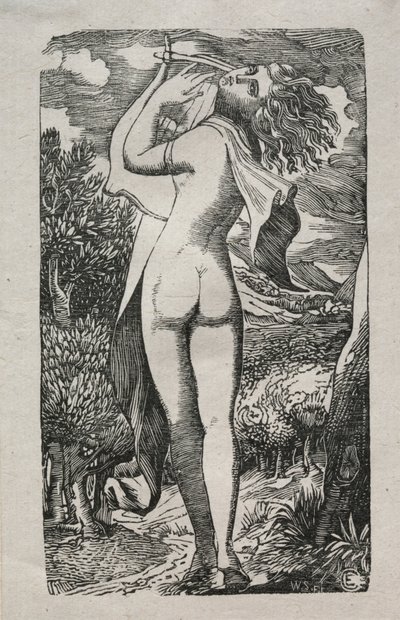 Bacchante ou O Jogador na Lira, 1829. de Edward Calvert