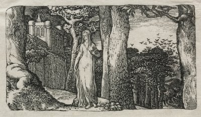 A Dama e as Gralhas de Edward Calvert