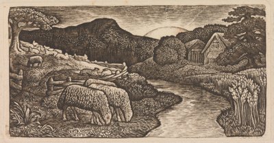 As ovelhas do seu pasto de Edward Calvert