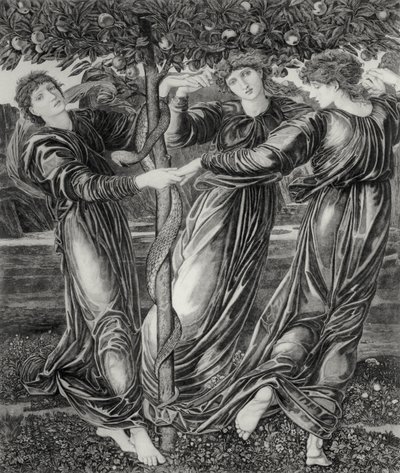 O Jardim das Hespérides de Edward Coley (after) Burne Jones