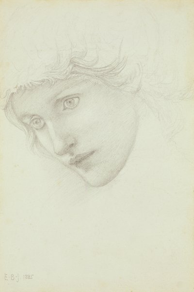 Estudo para a cabeça de uma sereia, 1885 de Edward Burne Jones