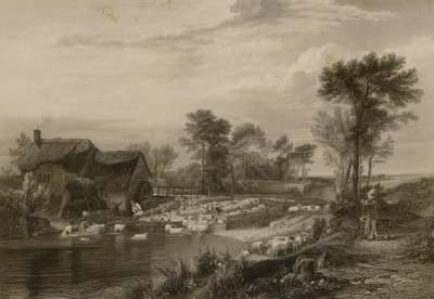 Lavagem de ovelhas de Edward Finden