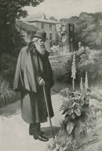 Charles Darwin no seu jardim em Down House (litografia) de Edward Frederick Skinner