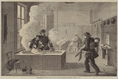 A casa receptora da Royal Humane Society, Hyde Park de Edward Hull