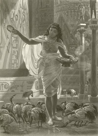 Alimentando os íbis sagrados nos corredores de Karnac de Edward John Poynter