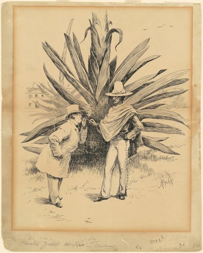 Cacto do México de Edward Kemble