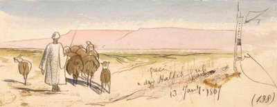 Uma erva seca de meio-fio de Edward Lear