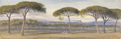 Uma vista do bosque de pinheiros acima de Cannes de Edward Lear
