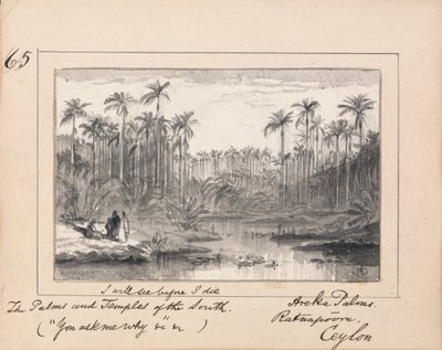 Areka Palms, Ratanapooru, Ceilão - "Verei antes de morrer As Palmas e Templos do Sul" de Edward Lear