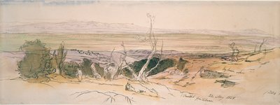 Floresta. de Edward Lear