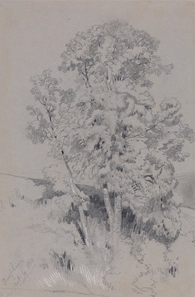 Burpham 4.Out.1834 de Edward Lear