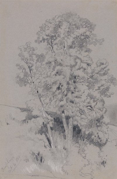Burpham, 4 de outubro de 1834 de Edward Lear