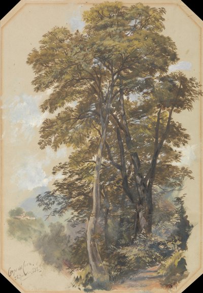 Corpo de Pedreira, 28 de junho de 1838 de Edward Lear
