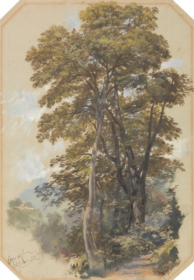 Corpo di Cava, 28 de junho de 1838 de Edward Lear