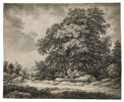 Paisagem florestal de Edward Lear