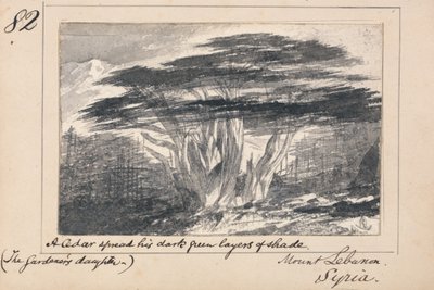 Ilustração do poema «A Filha do Jardineiro», de Tennyson: Monte Líbano, Síria — «Um cedro estendia as suas camadas de sombra verde-escura» de Edward Lear
