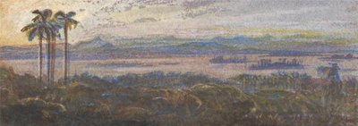 Paisagem de Indian River de Edward Lear
