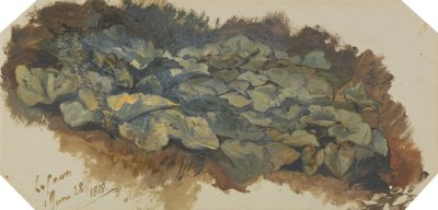 La Cava de Edward Lear