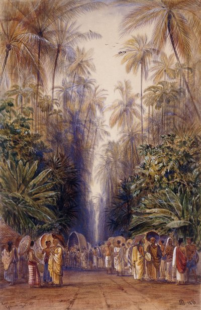 Na estrada para Galle, Ceilão de Edward Lear
