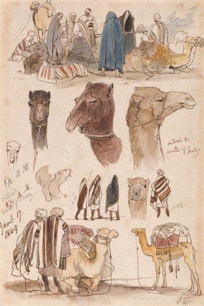 Fora das muralhas do Suez, 8h30, 17 de janeiro de 1849 (54) de Edward Lear
