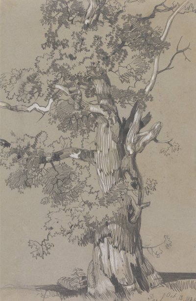 Parham, 13.10.1834 de Edward Lear
