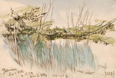 Pettenasco, Lago Orta de Edward Lear