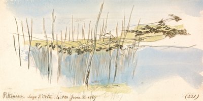 Pettenasco, Lago Orta, 16:00 h, 2 de junho de 1867 (221) de Edward Lear