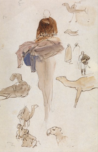 Estudos sobre os camelos de Edward Lear