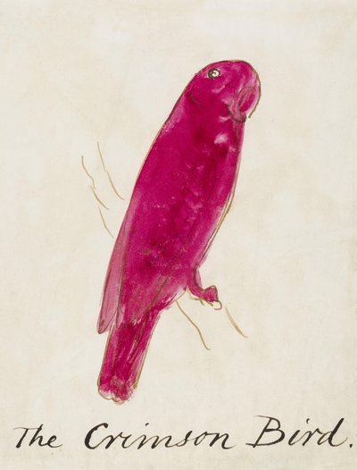 O pássaro carmesim, de dezesseis desenhos de aves em quadrinhos (caneta e tinta wc no papel) de Edward Lear